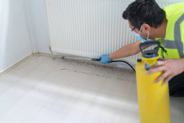 Best Best Pest Control Companies  in Montgomery, WV